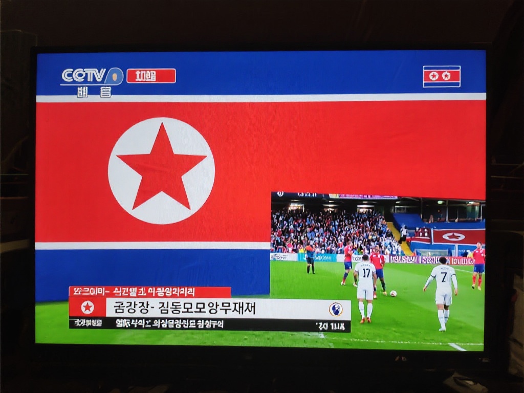 欧洲杯16强实力榜:世界排名与身价揭秘,夺冠热门与黑马是谁?